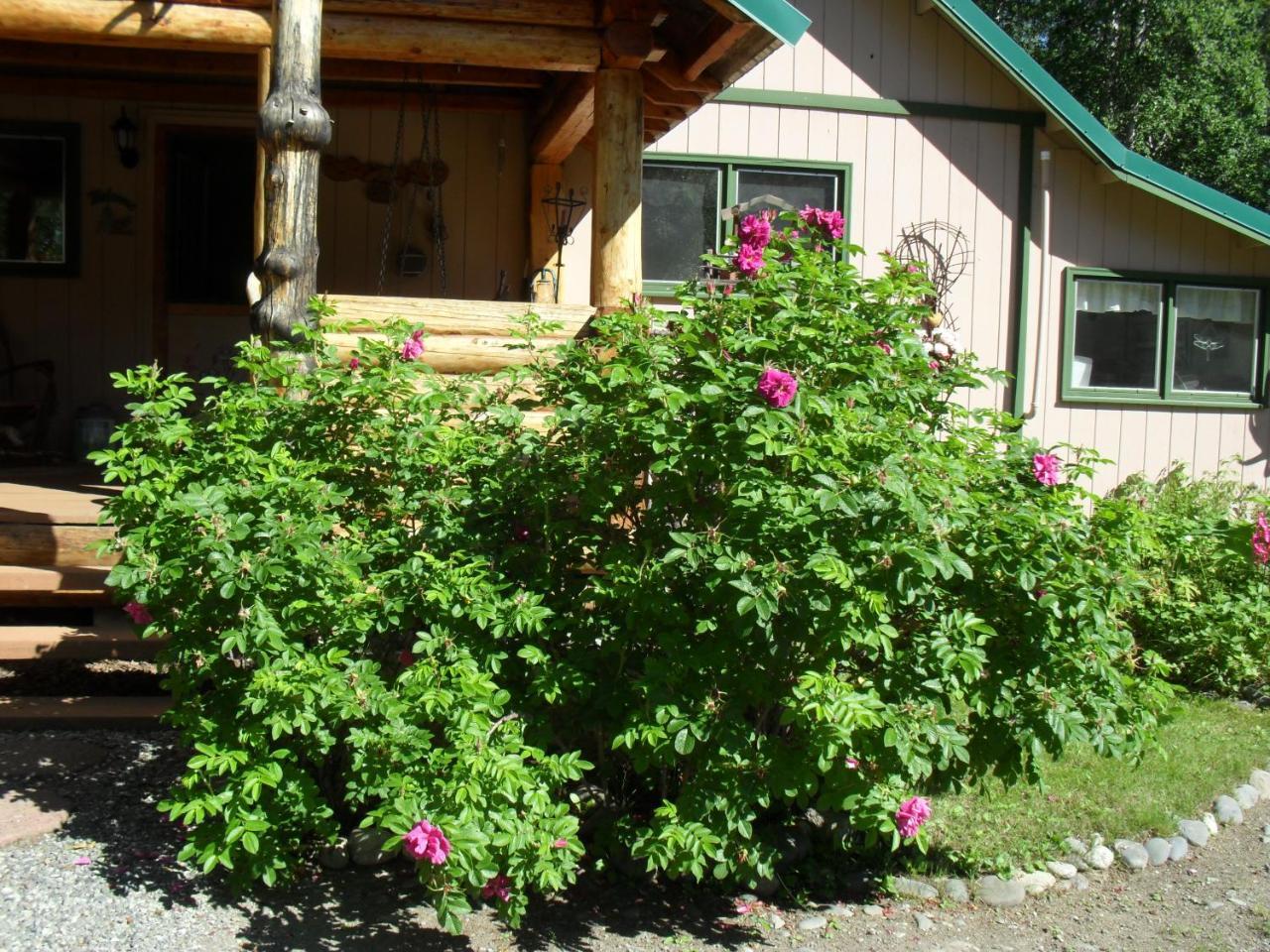 Alaska's Northland Inn Trapper Creek Exteriör bild